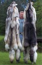 lynxpelz.jpg lynxpelz.jpg