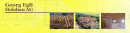 homepage.jpg homepage.jpg
