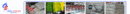 index_r1_c1.gif index_r1_c1.gif